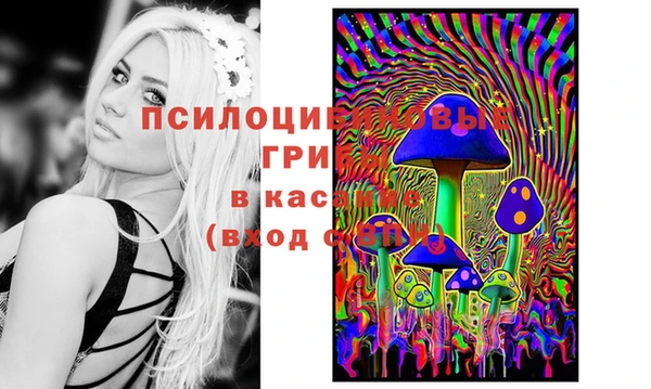 ГАЛЛЮЦИНОГЕННЫЕ ГРИБЫ Алзамай