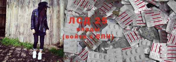 ГАЛЛЮЦИНОГЕННЫЕ ГРИБЫ Алзамай