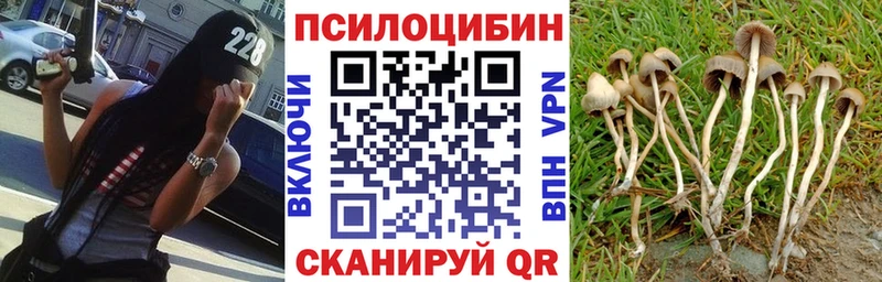 как найти закладки  Сорочинск  Галлюциногенные грибы мицелий 